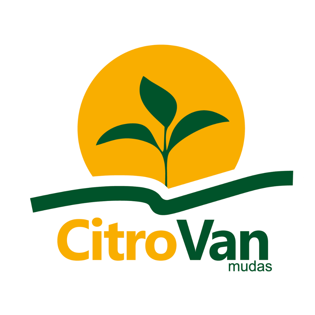 Citrovan Mudas