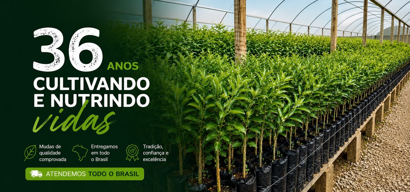 Citrovan: 36 anos cultivando e nutrindo vidas, atendendo todo o Brasil